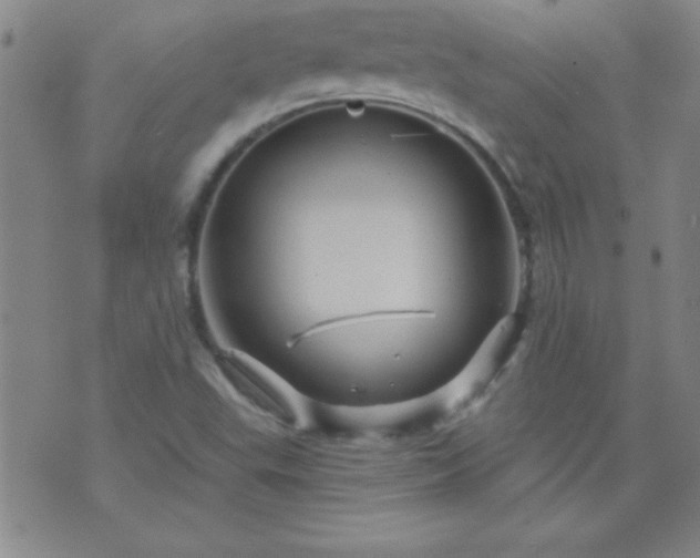 X0000075901503200609221923