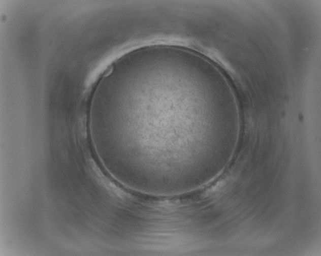 X0000075901504200609221924