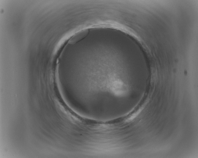 X0000075901506200609221924