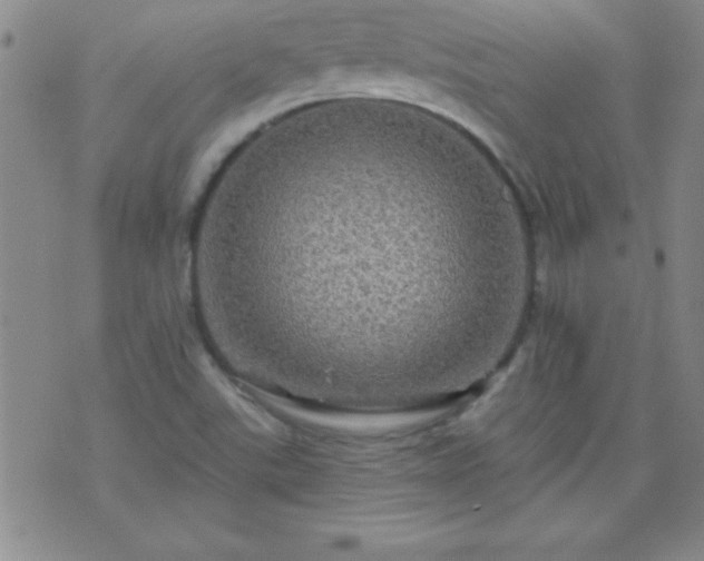 X0000075901507200609221924