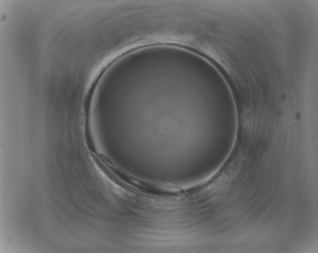 X0000075901508200609221924