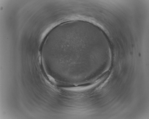 X0000075901509200609221924