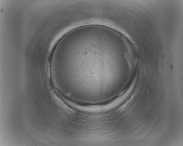 X0000075901510200609221924