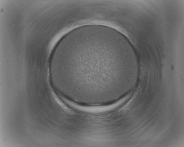 X0000075901511200609221924