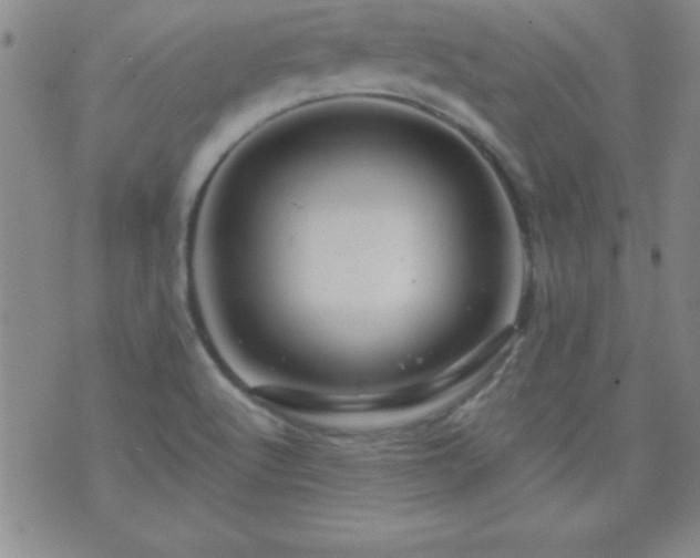 X0000075901512200609221924