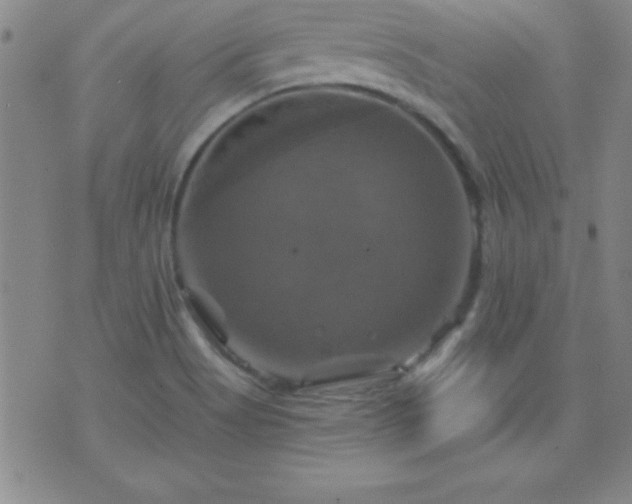 X0000075901513200609221924