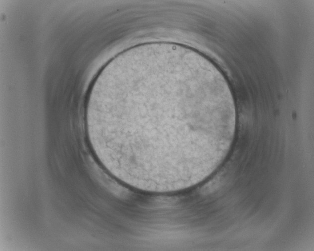 X0000075901514200609221924