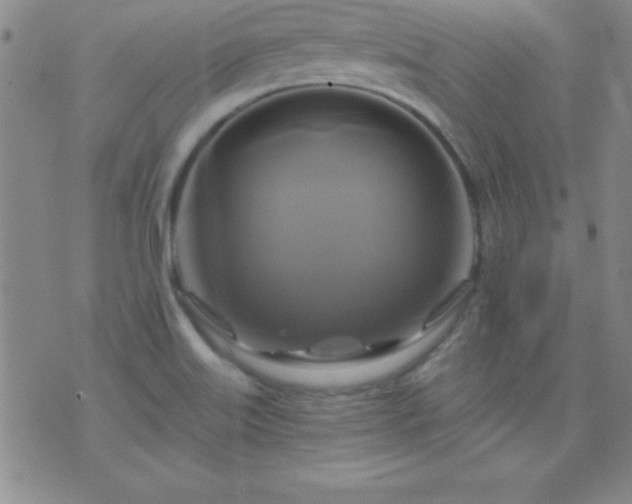 X0000075901515200609221924