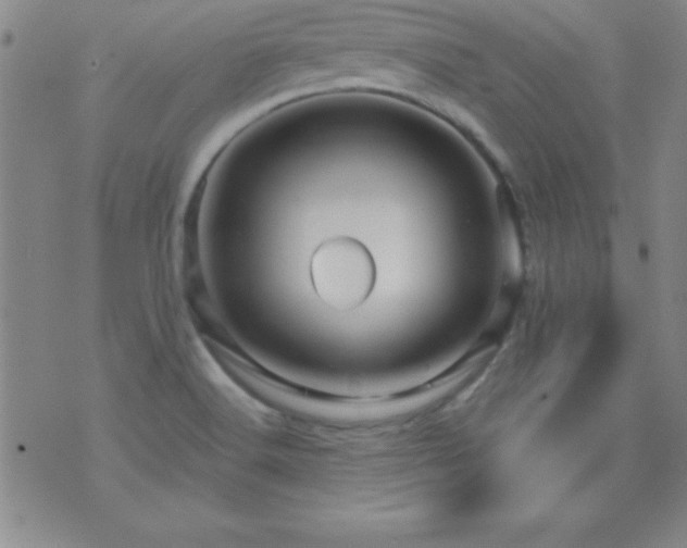 X0000075901516200609221924