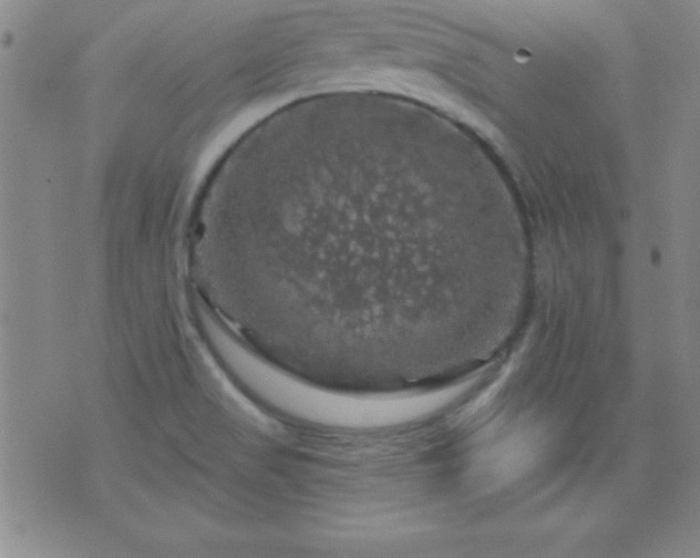 X0000075901517200609221924