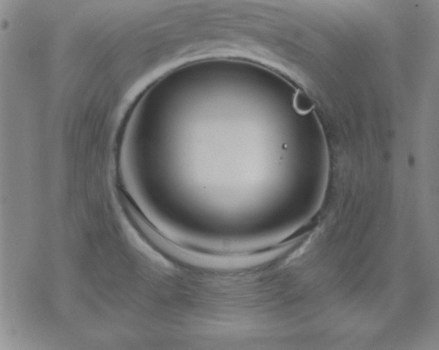 X0000075901518200609221924