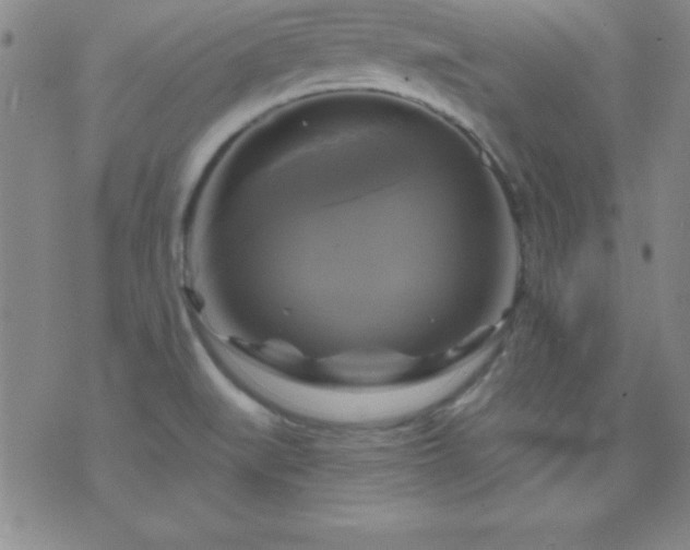 X0000075901519200609221924