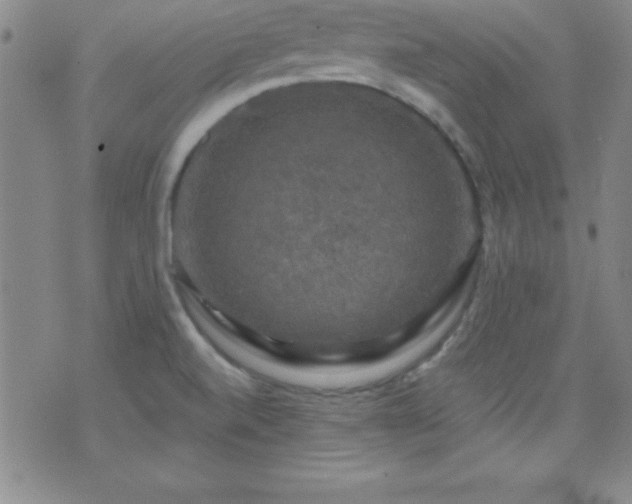 X0000075901520200609221924