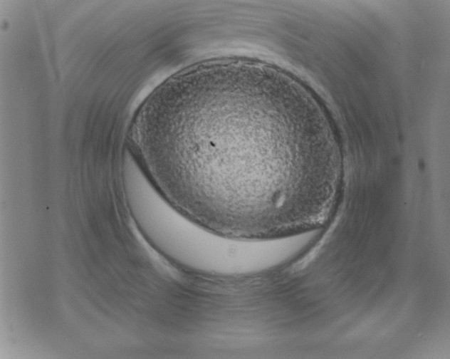 X0000075901521200609221924