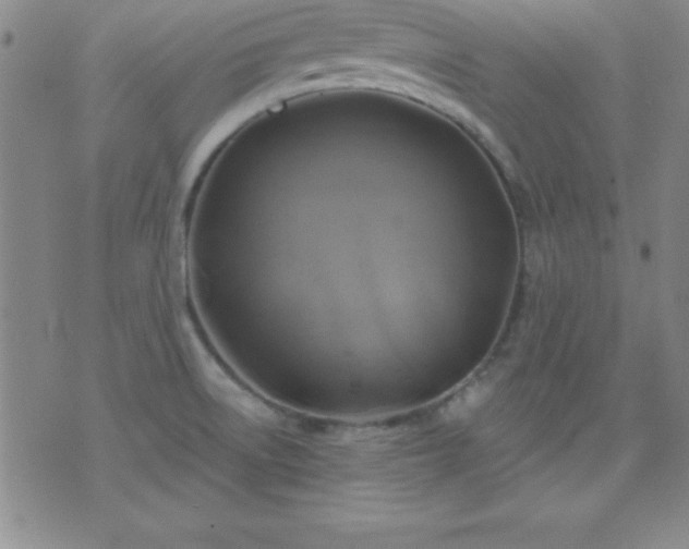 X0000075901522200609221924