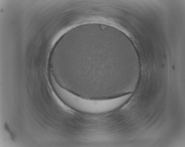 X0000075901523200609221924