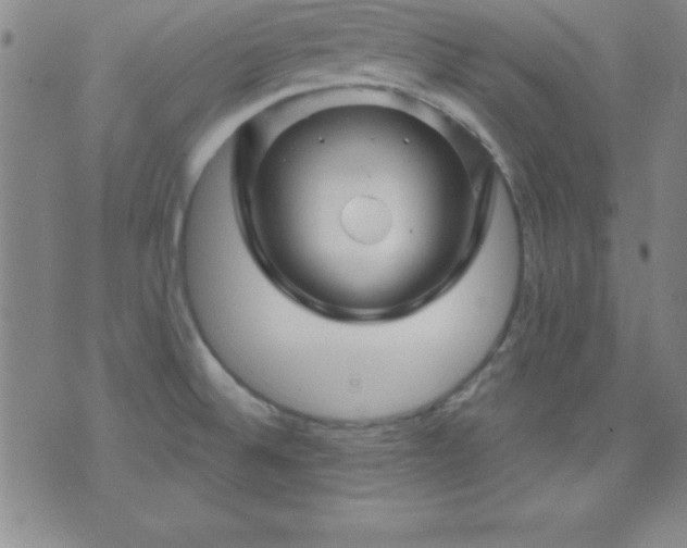 X0000075901524200609221924