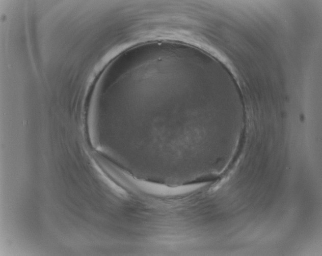 X0000075901525200609221924