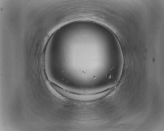 X0000075901526200609221924