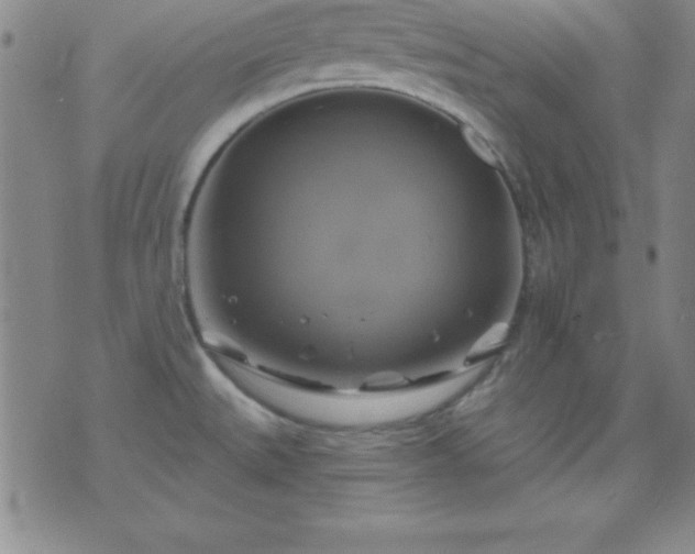 X0000075901527200609221924