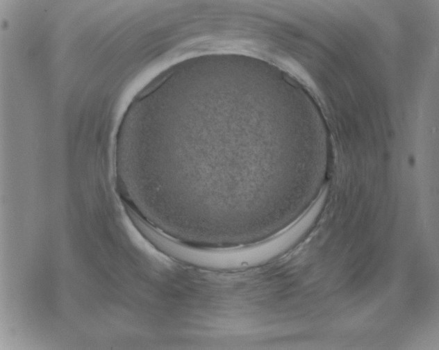 X0000075901528200609221924