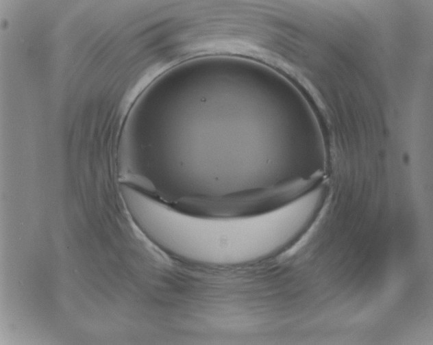 X0000075901529200609221924