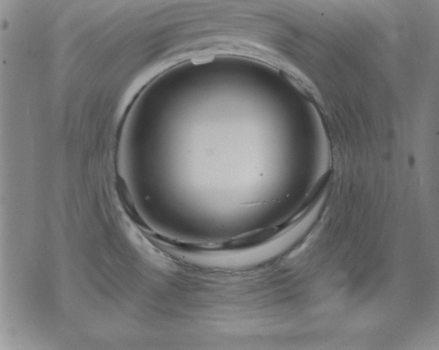 X0000075901530200609221924