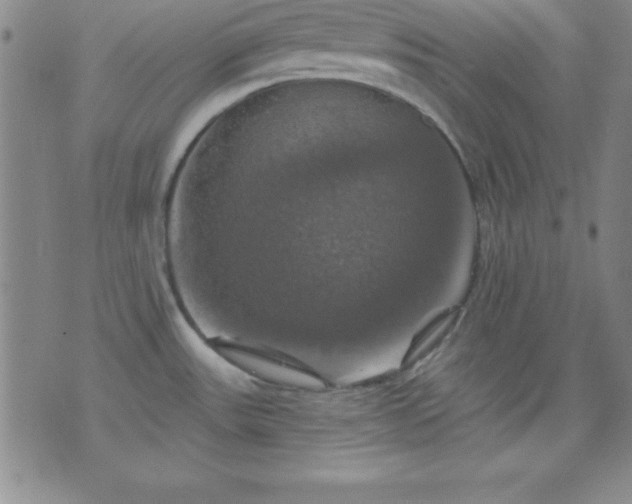 X0000075901531200609221924