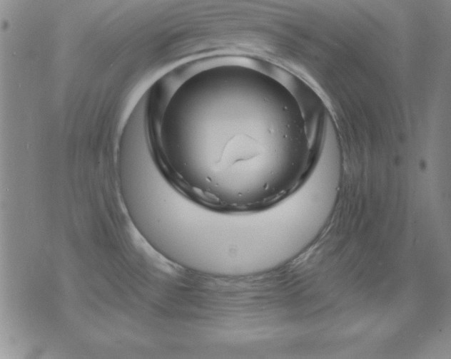 X0000075901532200609221924