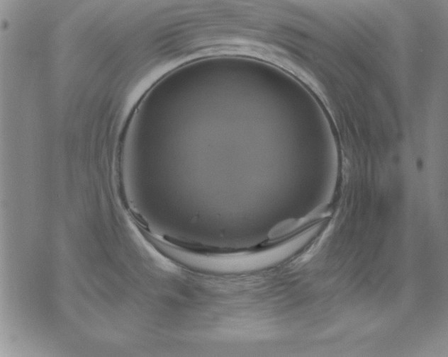 X0000075901533200609221924