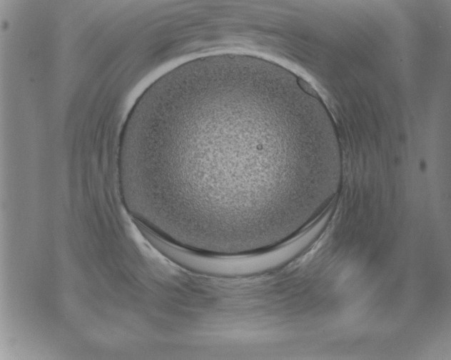 X0000075901534200609221924