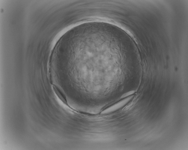 X0000075901535200609221924