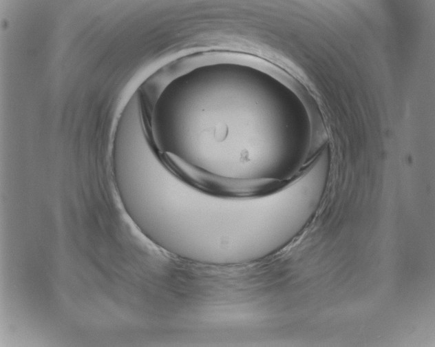 X0000075901536200609221924