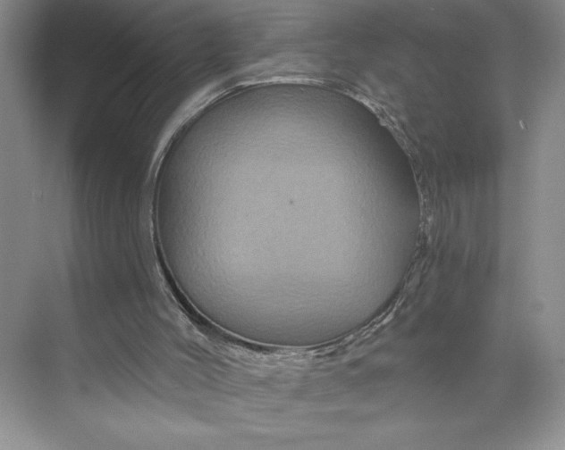 X0000075900004200609291744