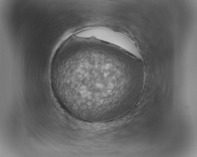 X0000075900006200609291744