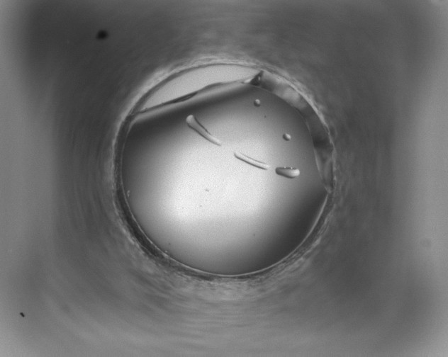 X0000075900008200609291744