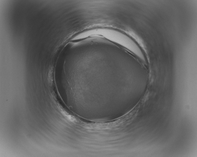 X0000075900009200609291744