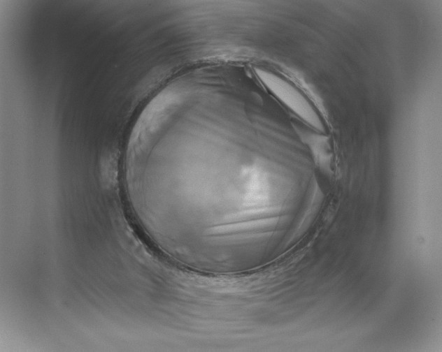 X0000075900010200609291744