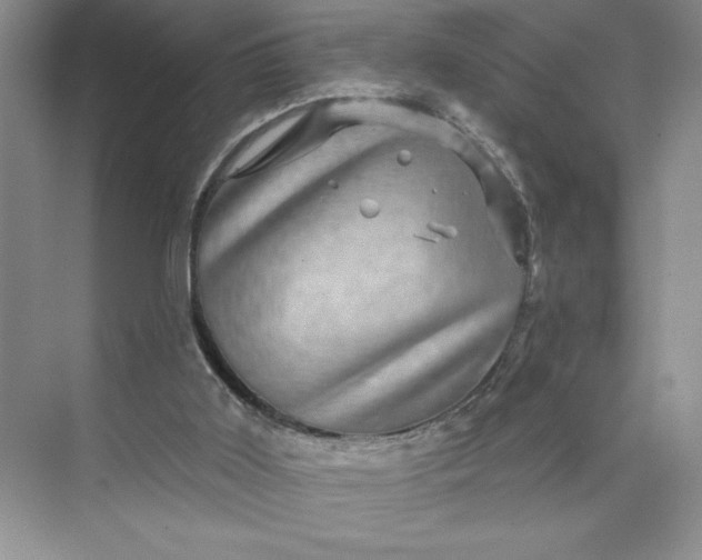 X0000075900011200609291744