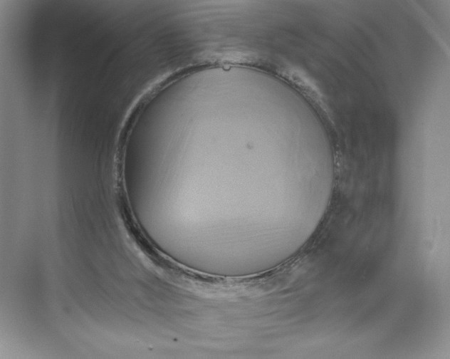 X0000075900012200609291744