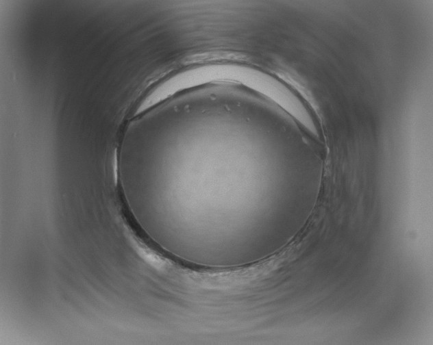 X0000075900013200609291744