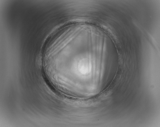 X0000075900016200609291744