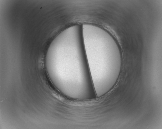 X0000075900017200609291744