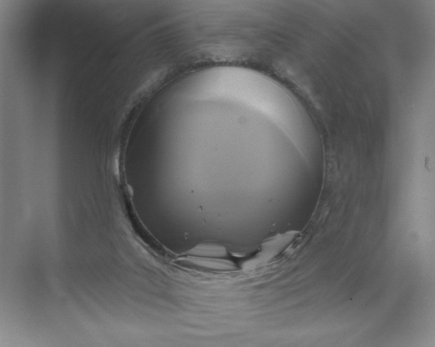 X0000075900019200609291743