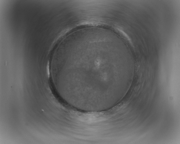 X0000075900020200609291743