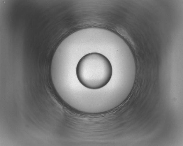 X0000075900021200609291743