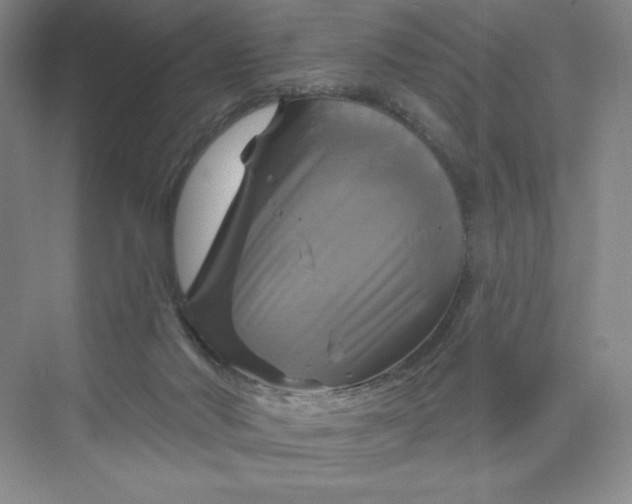 X0000075900022200609291743