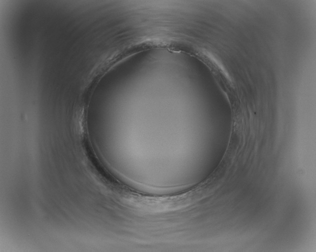 X0000075900023200609291743