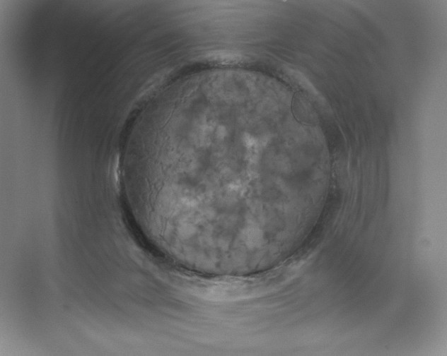 X0000075900024200609291743