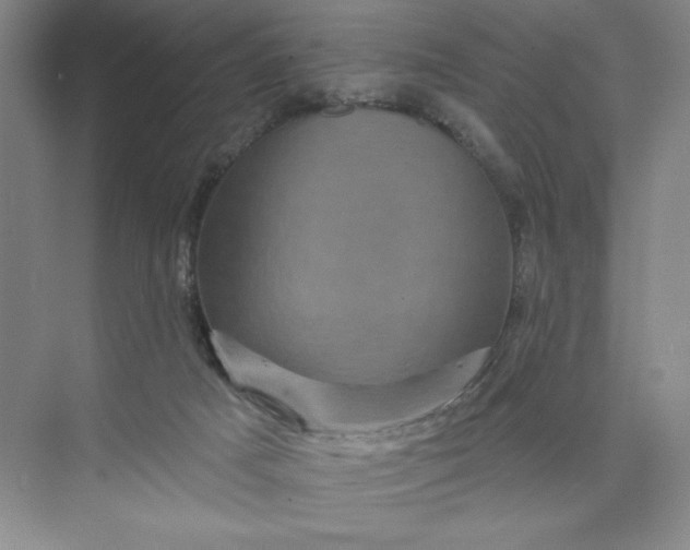 X0000075900025200609291743